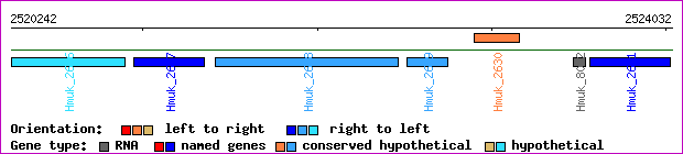 gene map