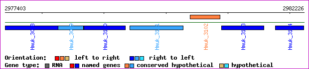 gene map