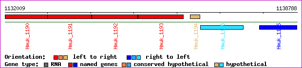 gene map