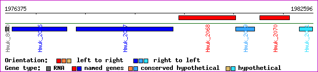 gene map