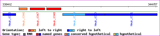gene map