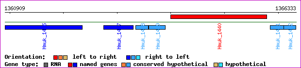 gene map