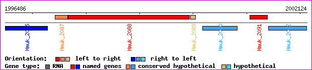 gene map