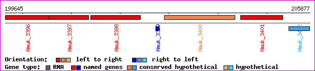 gene map