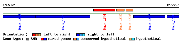 gene map