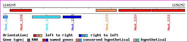 gene map