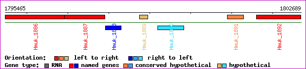 gene map