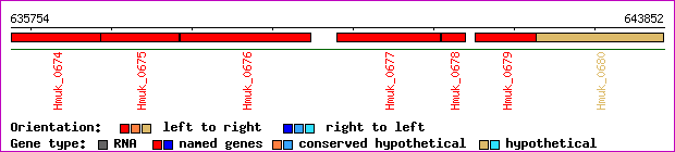 gene map