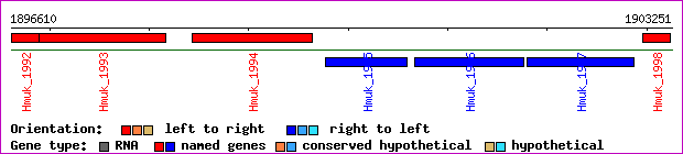 gene map