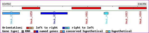 gene map