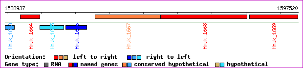 gene map