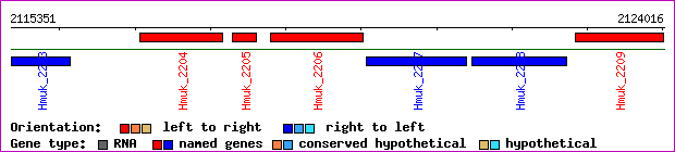 gene map