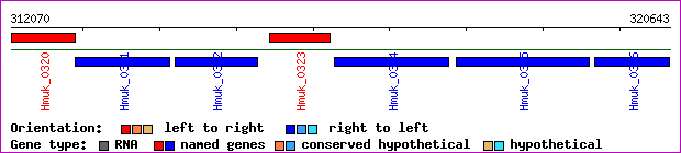 gene map