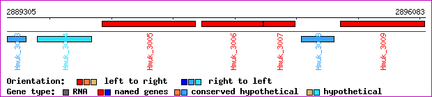 gene map