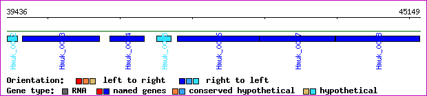 gene map