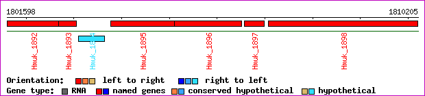 gene map