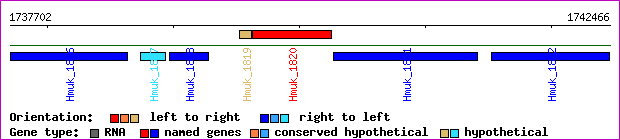 gene map