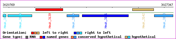 gene map