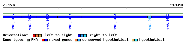 gene map