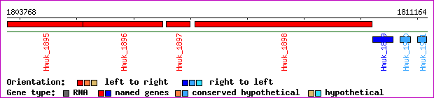 gene map