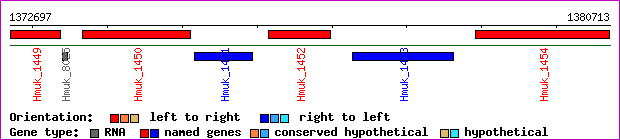 gene map
