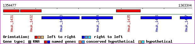 gene map