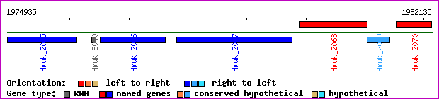 gene map