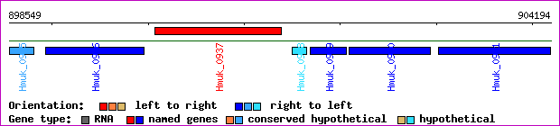 gene map