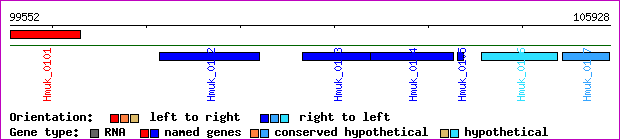 gene map