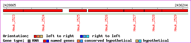 gene map