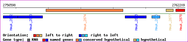 gene map