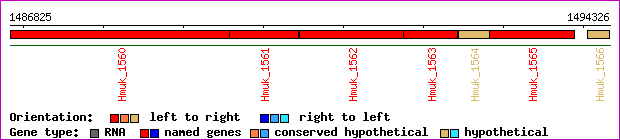 gene map