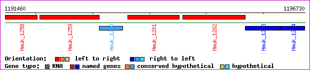 gene map