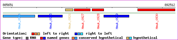 gene map