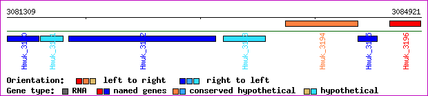 gene map