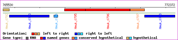 gene map