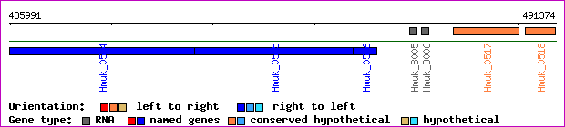 gene map