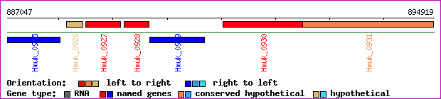 gene map