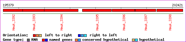 gene map