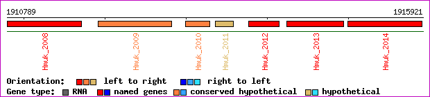 gene map