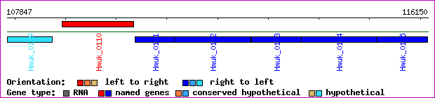 gene map