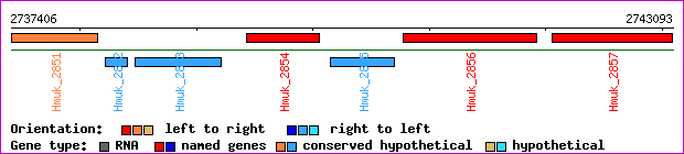 gene map