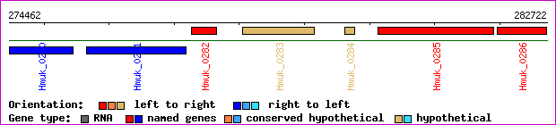 gene map