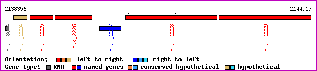 gene map