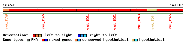 gene map