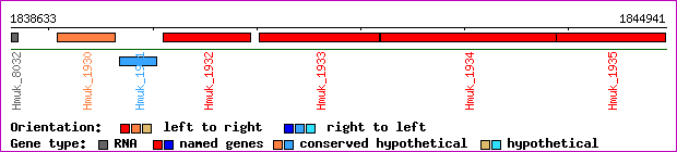 gene map