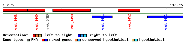 gene map