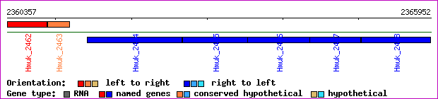 gene map