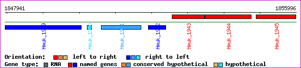 gene map