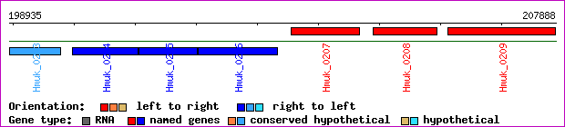gene map